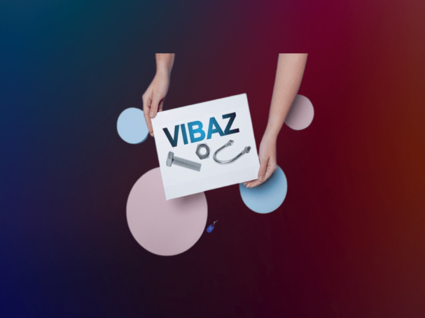 VIBAZ LOGO